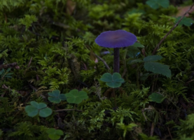 Есть и такие...