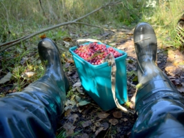 Вышли на берег