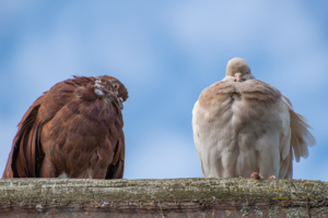 С первого взгляда?
