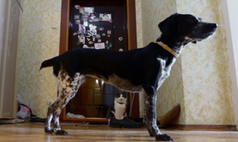 Вы, что? уборку затеяли ?