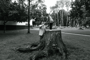 Когда деревья были большими...