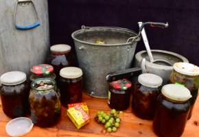 Бабушкины запасы. Вторая жизнь.