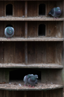 любовь и одиночество