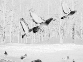 Приснилось