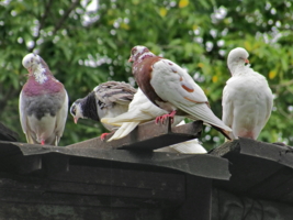 Опусти ножку и подойди к ней. Не стесняйся!!!
