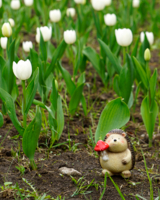 Ежик, я тебя искал!