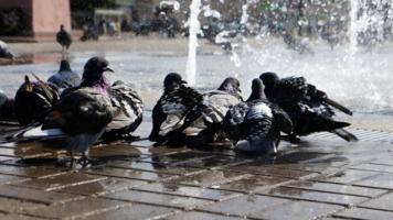 Умываемся пока воду дали.