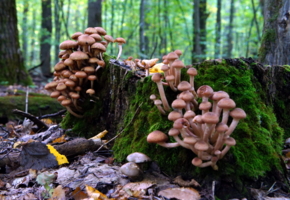 Жду парикмахера.