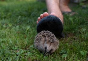 Берегите пальцы
