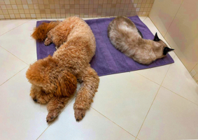 На просушке