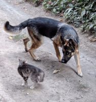 поиск компромисса