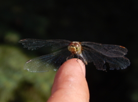 Какой самолет, такая и взлетная полоса