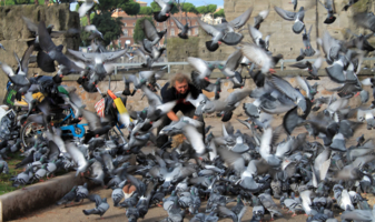 Покормил, называется! В живых бы остаться... ))