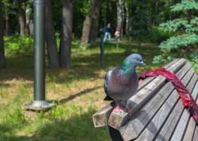 А как я Вам?