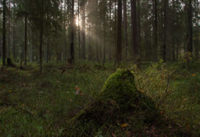 С подсветкой