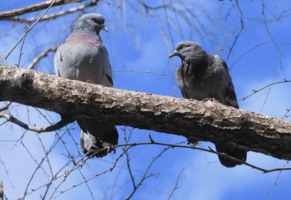 ,,Ну, Василий, мягкого тебе полета!..."