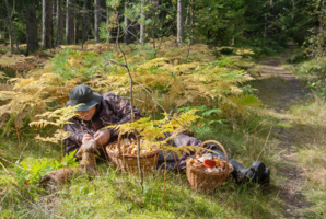 Теперь и отдохнуть можно