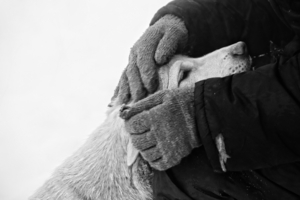 Диагональ привязанности