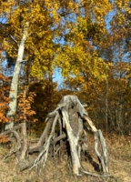 Главный герой