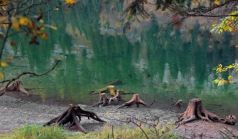 Побежали купаться...