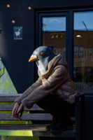 Ну я голубь, и че?