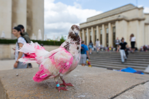 Символ надежды