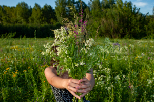 Это Вам! А за что? Просто так!
