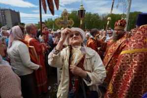 Без названия