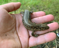 Надежная опора