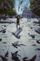 Слова улетели стаей вспугнутых голубей.