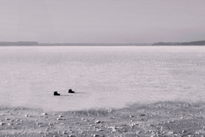 Человек-невидимка