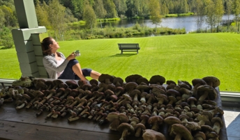 Перед чисткой