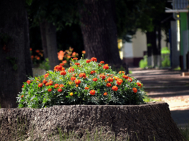 Приукрасился...