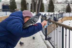 "Опять ты горизонт завалил!"