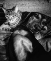 Мягко на Батоне