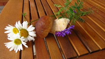 натюрморт с белым