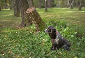 В одном направлении...
