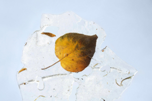 Причуды межсезонья