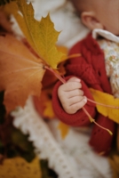 Первая осень