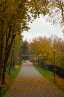 Пора листопада