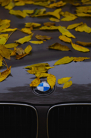 Могу назвать слово сразу!