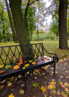 Осенний Михайловский сад