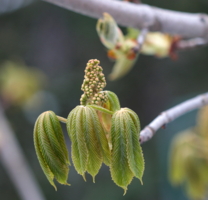 и весна бывает холодной