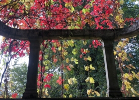 Самые яркие краски перед тем, как...