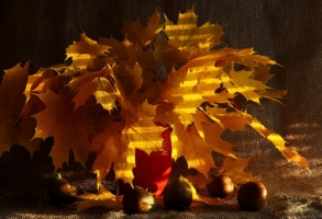 Осенний с инжиром