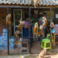 Перемена мест