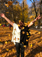 Листья жёлтые над городом кружатся