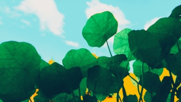 ловцы света