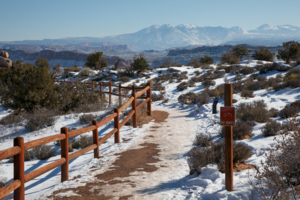 Дальше только пешком