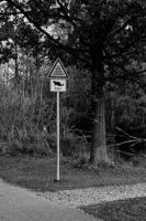 Седина бобра не портит...